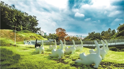 走在云道，看花看展看AR